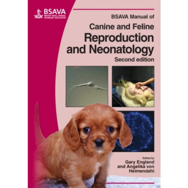 BSAVA Manual of Canine and Feline Reproduction and Neonatology (häftad, eng)