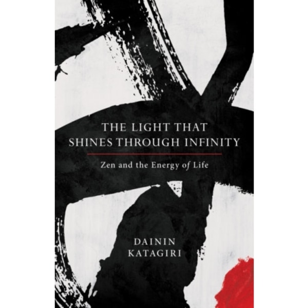 The Light That Shines through Infinity (häftad, eng)