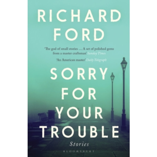 Sorry For Your Trouble (häftad, eng)