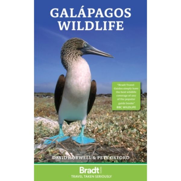 Galapagos Wildlife (häftad, eng)