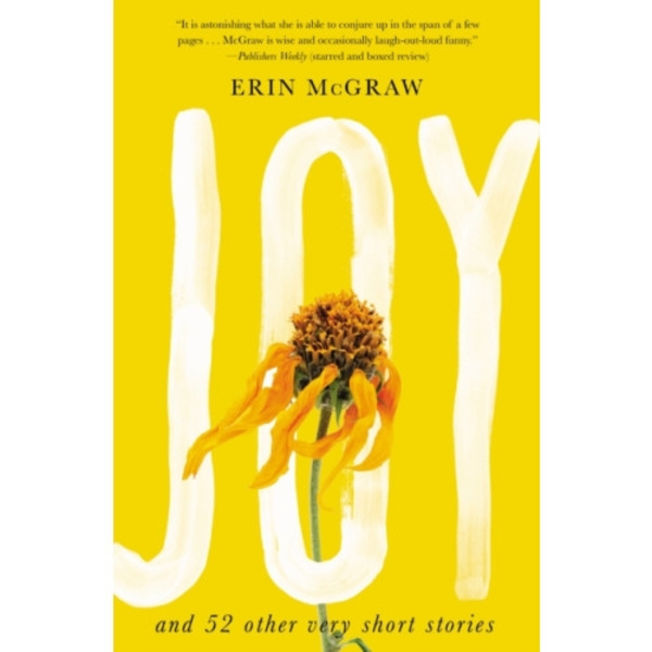 Joy (häftad, eng)