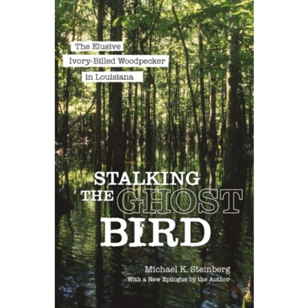 Stalking the Ghost Bird (häftad, eng)