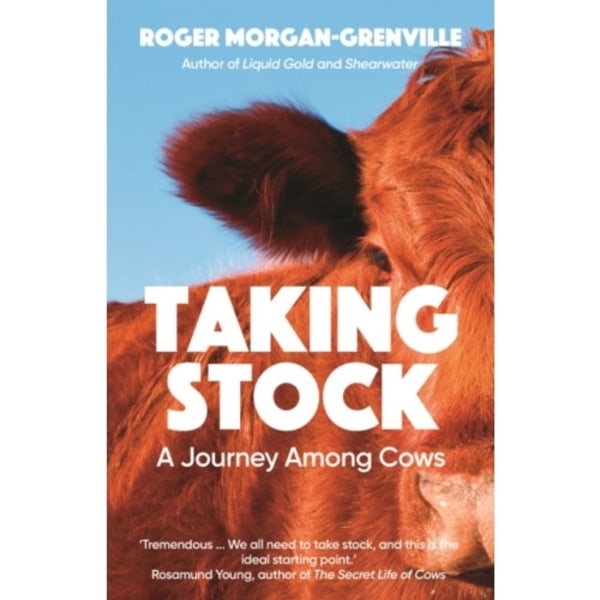 Taking Stock (häftad, eng)