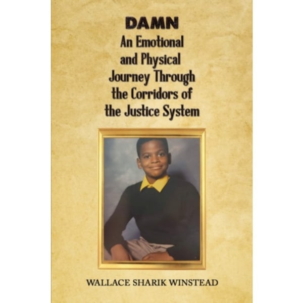 DAMN: An Emotional and Physical Journey Through the Corridors of the Justice System (häftad, eng)