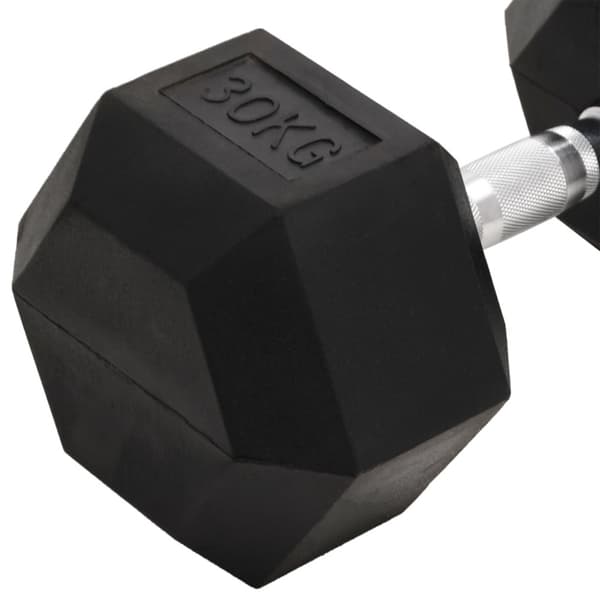 Hantel 30 kg gjutjärn