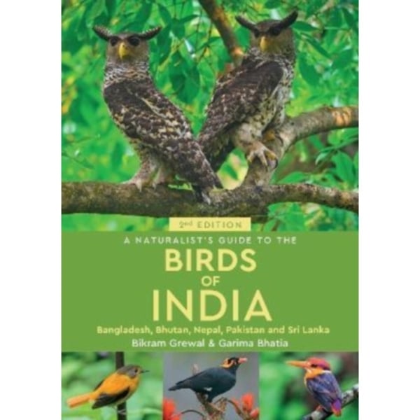 A Naturalist's Guide to the Birds of India (häftad, eng)