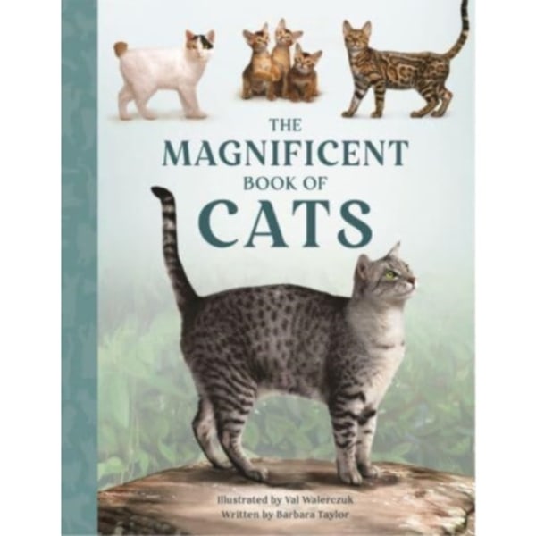 The Magnificent Book of Cats (inbunden, eng)
