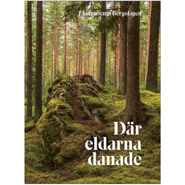 Där eldarna dånade (inbunden)