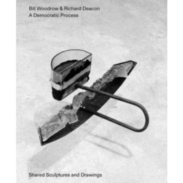 Bill Woodrow & Richard Deacon - a Democratic Process: Shared Sculptures and Drawings (häftad, eng)