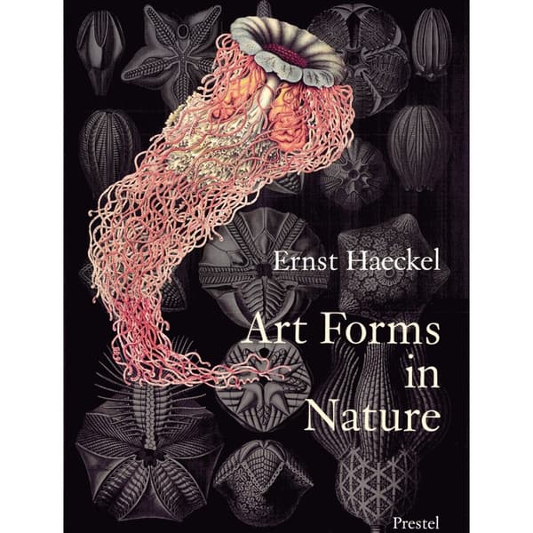 Art forms in nature - prints of ernst haekel (häftad, eng)