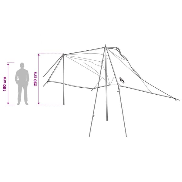 Bil tält med tak Blå 350 x 250 cm Polyester och Stål