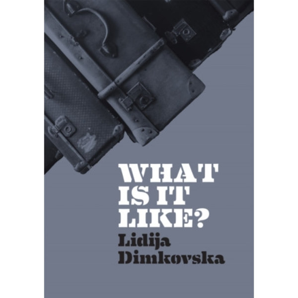 What Is It Like? (häftad, eng)