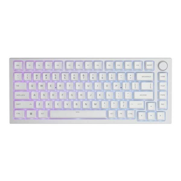 Glorious GMMK PRO 75% Barebone - tangentbord - ice white Inmatningsenhet