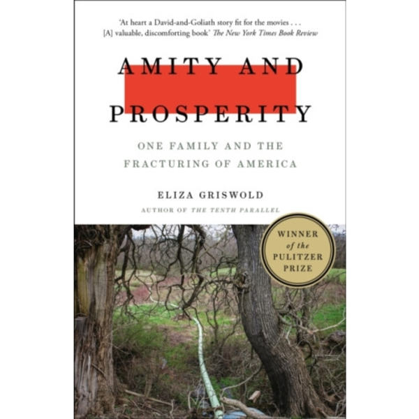 Amity and Prosperity (häftad, eng)
