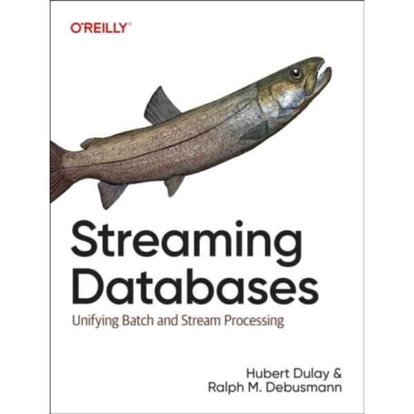 Streaming Databases (häftad, eng)