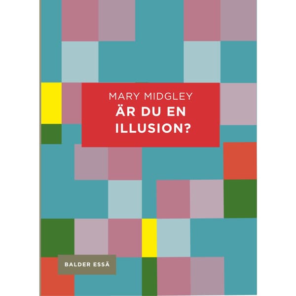 Är du en illusion? (häftad)