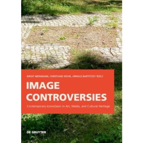 Image Controversies (häftad, eng)