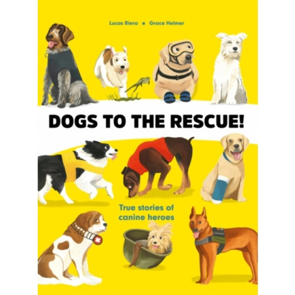 Dogs to the Rescue (inbunden, eng)