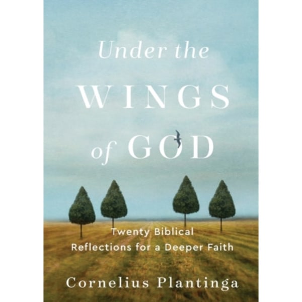 Under the Wings of God – Twenty Biblical Reflections for a Deeper Faith (häftad, eng)