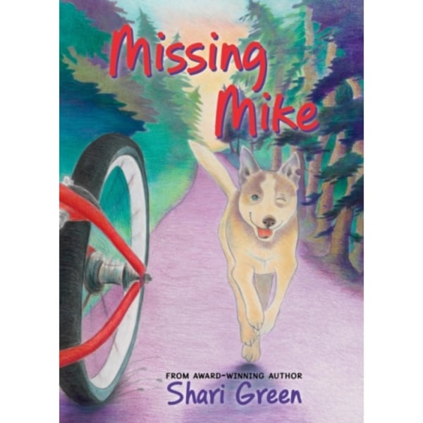 Missing Mike (häftad, eng)