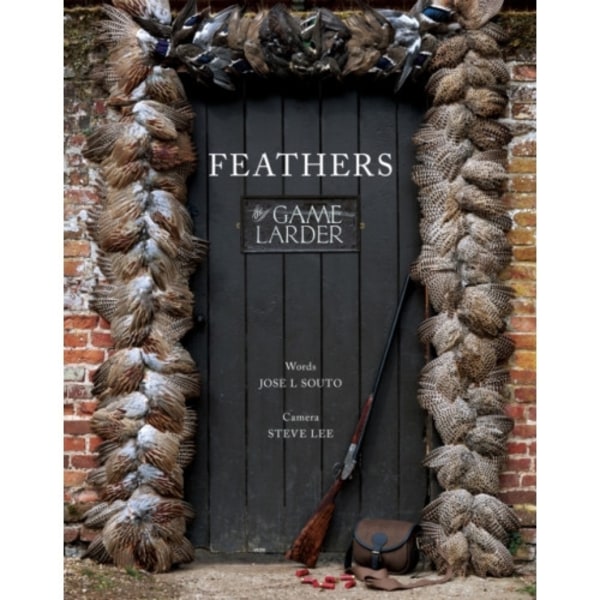 Feathers (inbunden, eng)