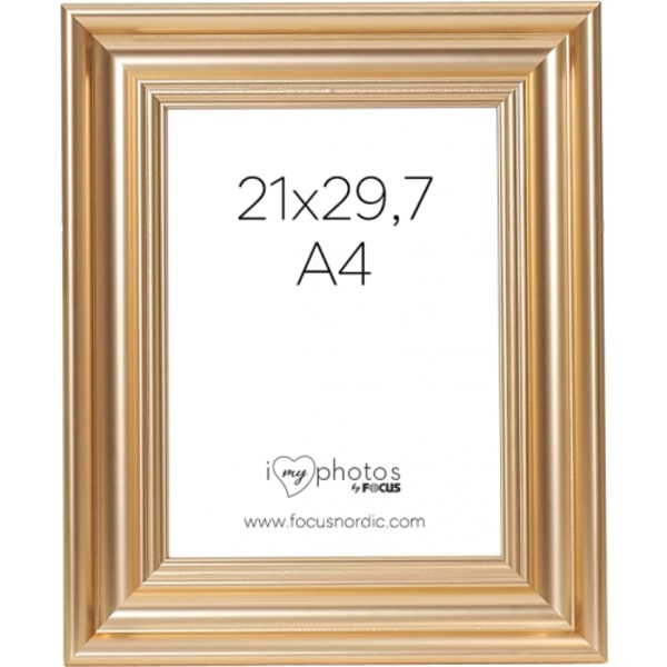 Focus Charleston Gold 21x29,7 (A4)