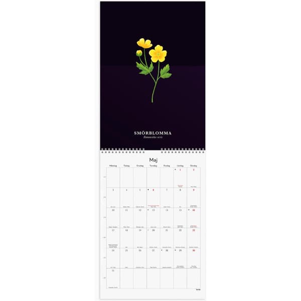 Väggkalender Illustrerad blomster 2027