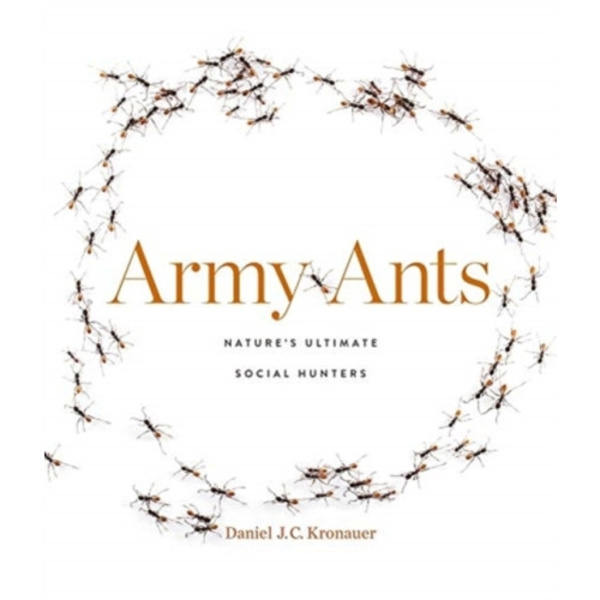 Army Ants (inbunden, eng)