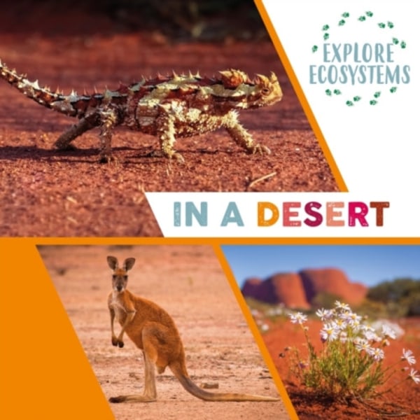 Explore Ecosystems: In a Desert (häftad, eng)