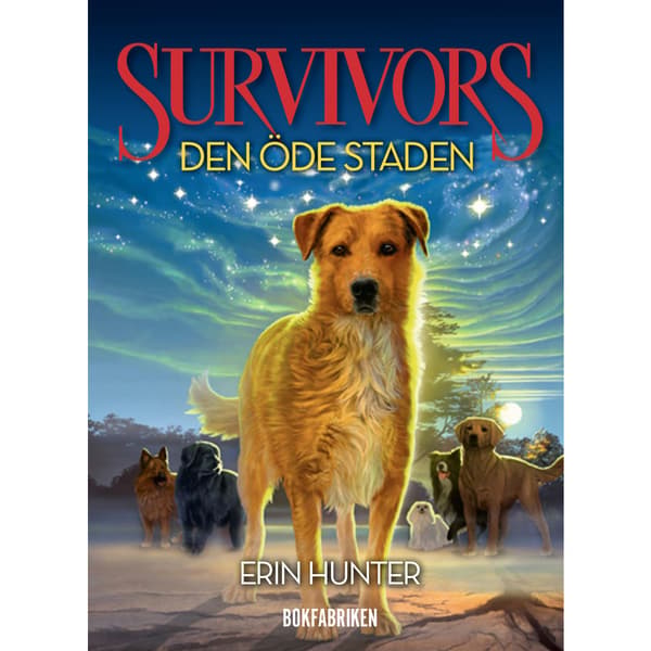 Den öde staden (bok, kartonnage)