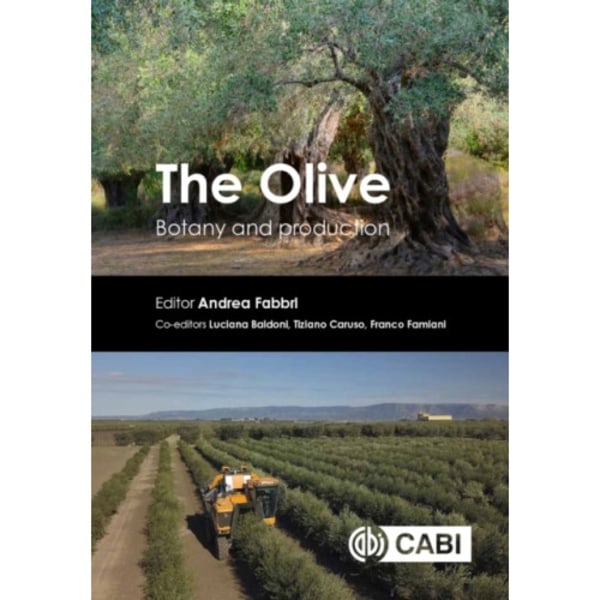 The Olive (inbunden, eng)