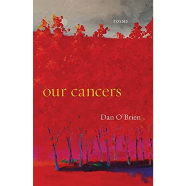 Our Cancers (häftad, eng)