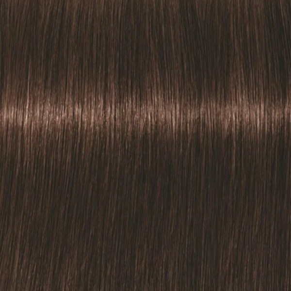 Professional Igora Vibrance Kit 4-6 Medium Brown Chocolate