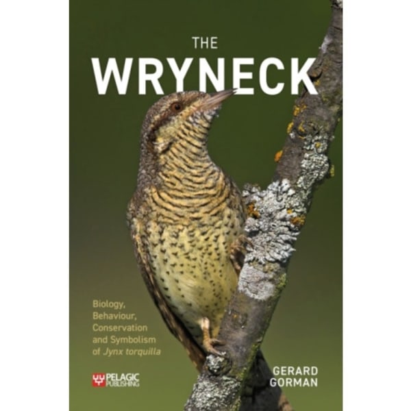 The Wryneck (häftad, eng)