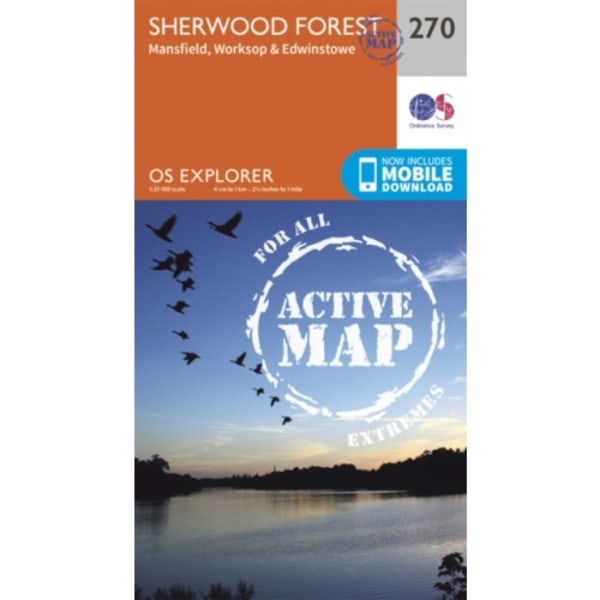 Sherwood Forest