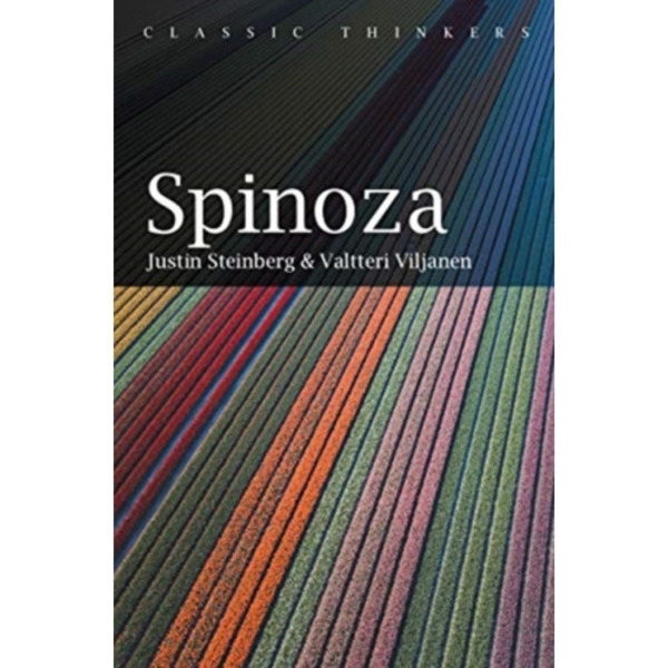 Spinoza (häftad, eng)