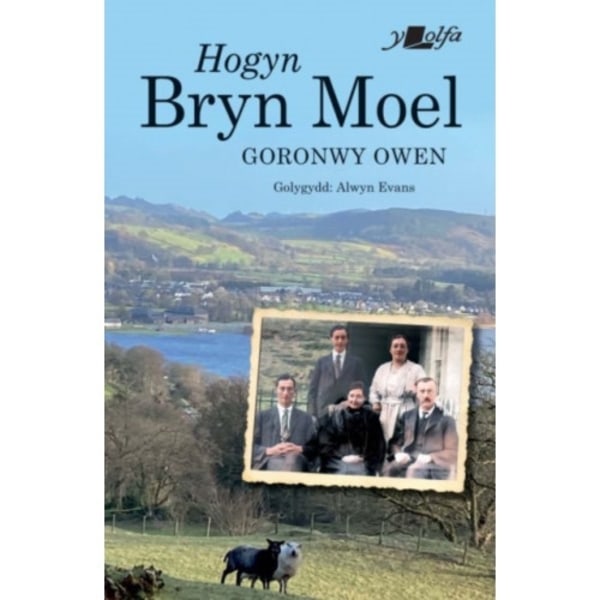 Hogyn Bryn Moel (häftad, wel)