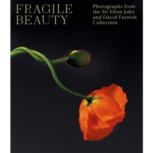 Fragile Beauty (inbunden, eng)