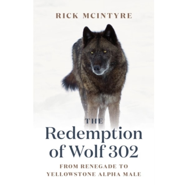 The Redemption of Wolf 302 (inbunden, eng)