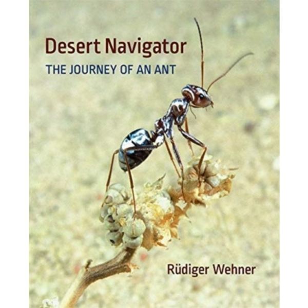 Desert Navigator (inbunden, eng)