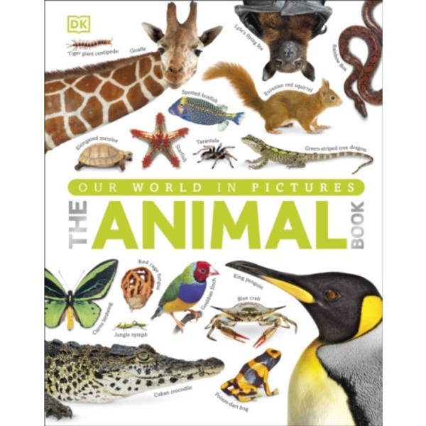 Our World in Pictures The Animal Book (inbunden, eng)