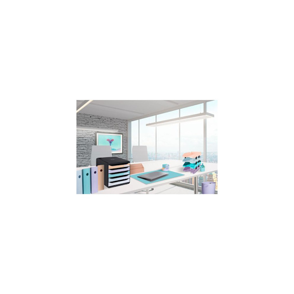 Blankettbox EXACOMPTA BIGBOX 4 låd paste