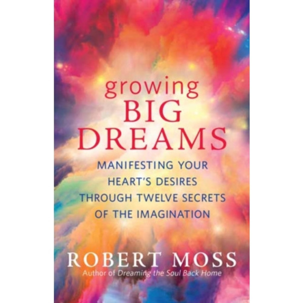Growing Big Dreams (häftad, eng)