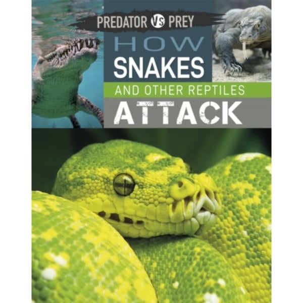 Predator vs Prey: How Snakes and other Reptiles Attack (inbunden, eng)