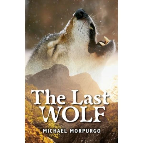 Rollercoasters: The Last Wolf (häftad, eng)