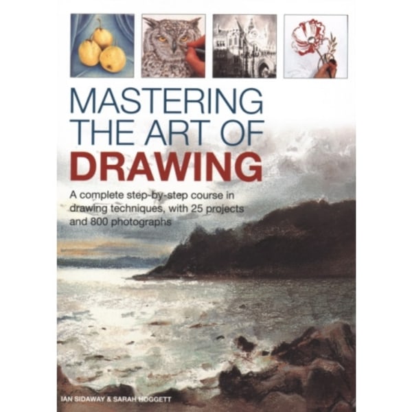 Mastering the Art of Drawing (inbunden, eng)