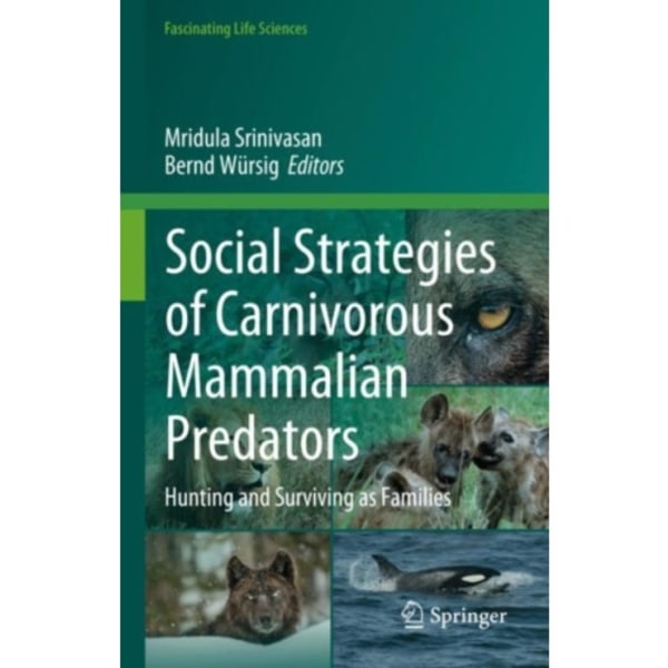 Social Strategies of Carnivorous Mammalian Predators (inbunden, eng)