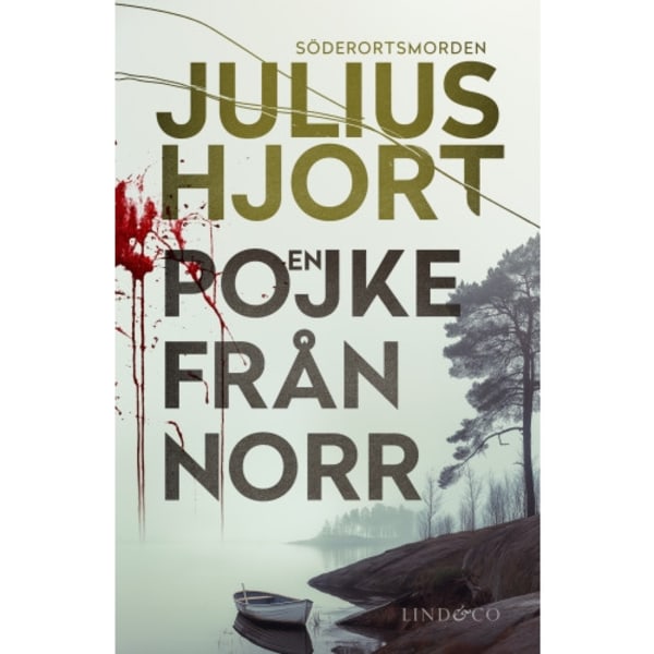 En pojke från norr (inbunden)
