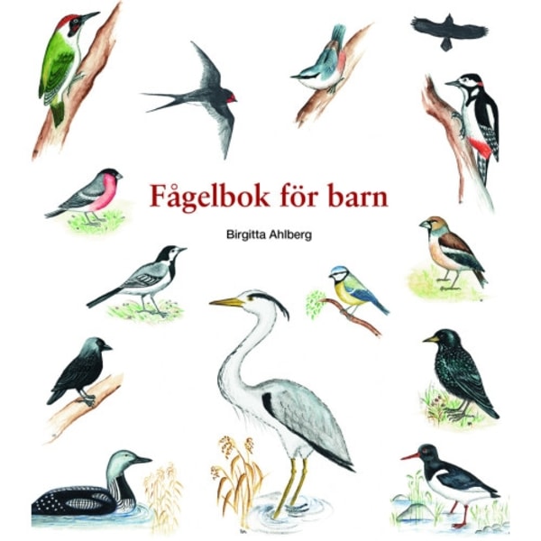 Fågelbok för barn (häftad)