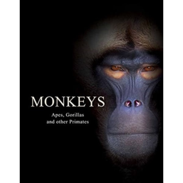 Monkeys (inbunden, eng)